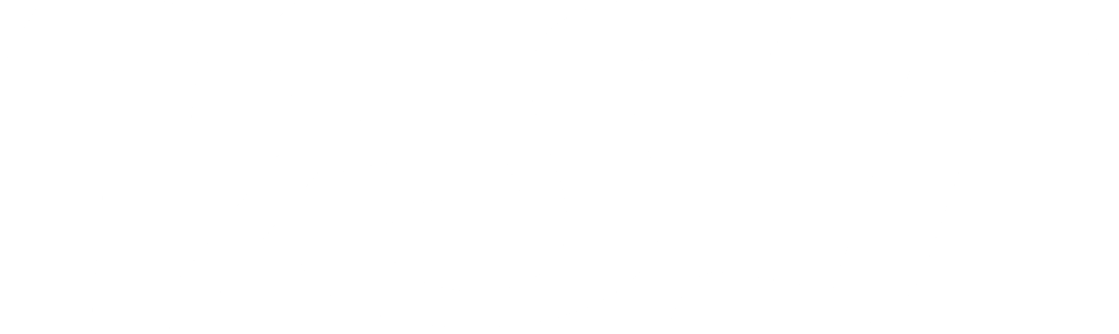 Logo VST